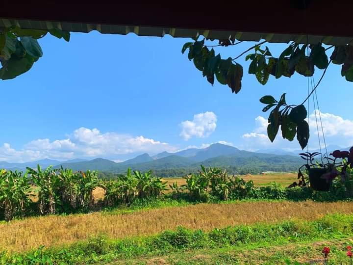 Sleep & Fishing Pua Homestay Nan